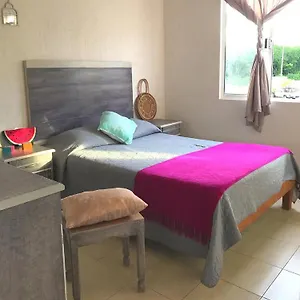 https://pitaya-playa-vacacional.tulum-hotels.net
