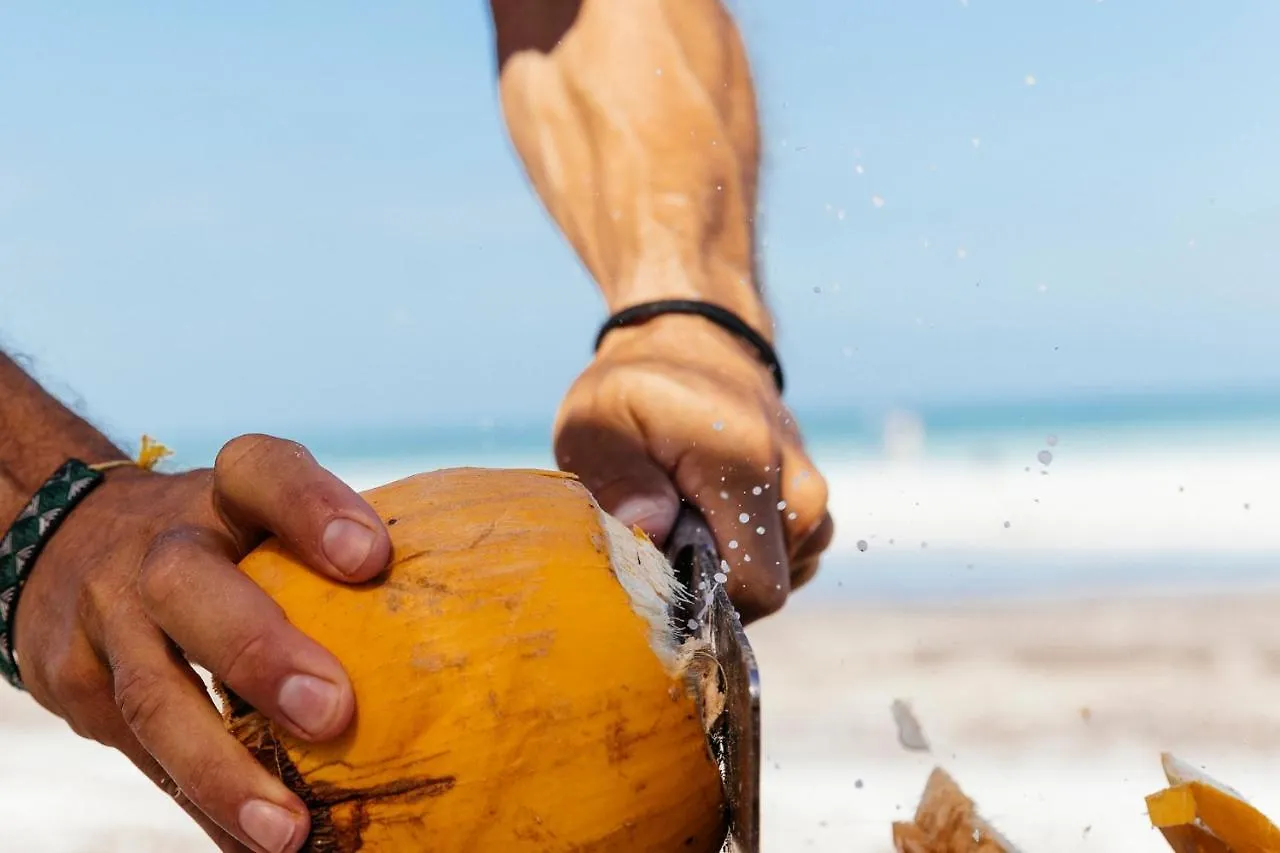 Hotel Boutique Punta Caliza - Adults Oriented Isla Holbox